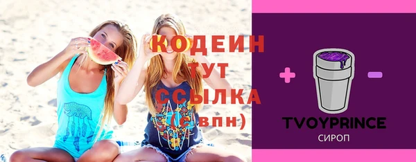 дмт Козельск