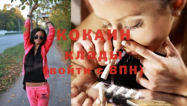 дмт Козельск
