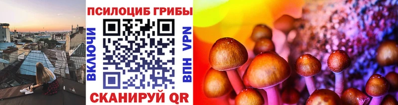Купить  Малгобек  Галлюциногенные грибы Magic Shrooms 